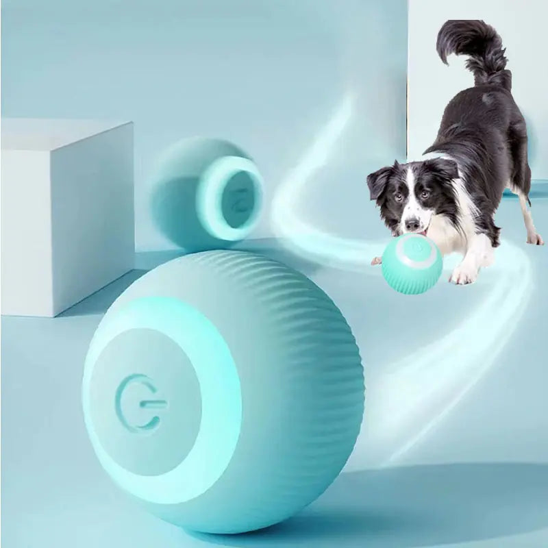 Interactive Cat and Dog Play Ball