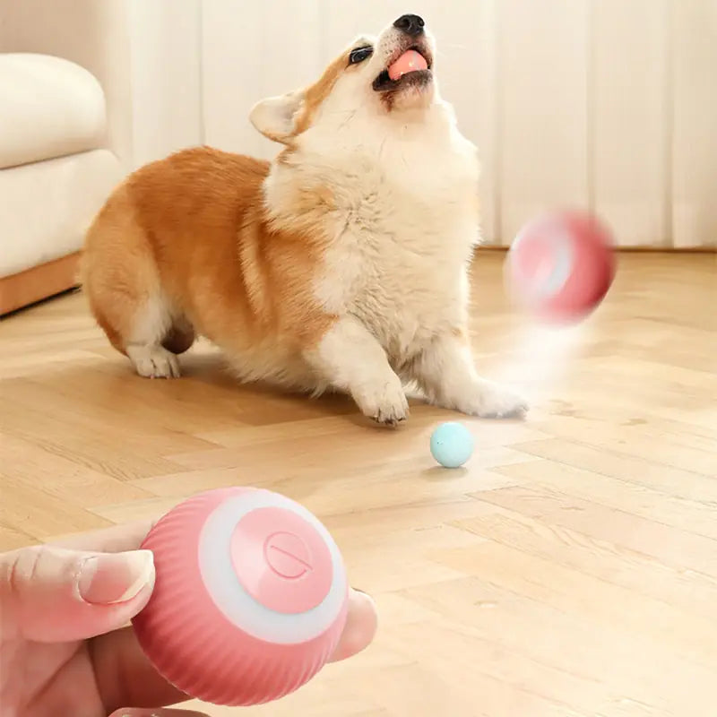 Interactive Cat and Dog Play Ball
