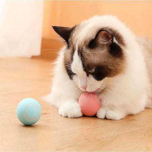 Interactive Cat and Dog Play Ball