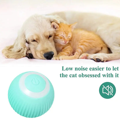 Interactive Cat and Dog Play Ball