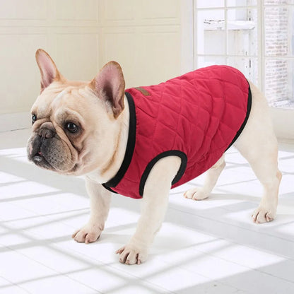 Pup Winter Coat