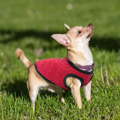 Pup Winter Coat