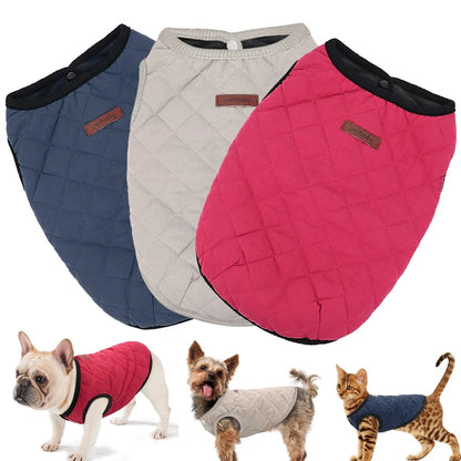 Pup Winter Coat