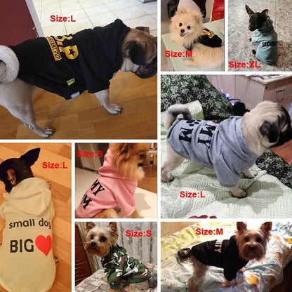 Chic Pup Attire